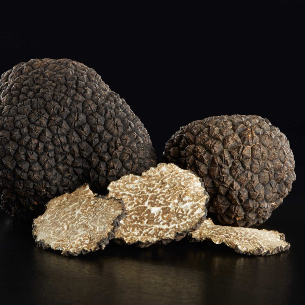 Truffe d'Hiver